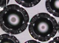 Functional Microspheres Manufactuered by XL Sci-Tech Inc.