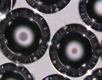 Functional Microspheres Manufactuered by XL Sci-Tech Inc.